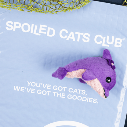 Delightful Daphne Dolphin Catnip Toy