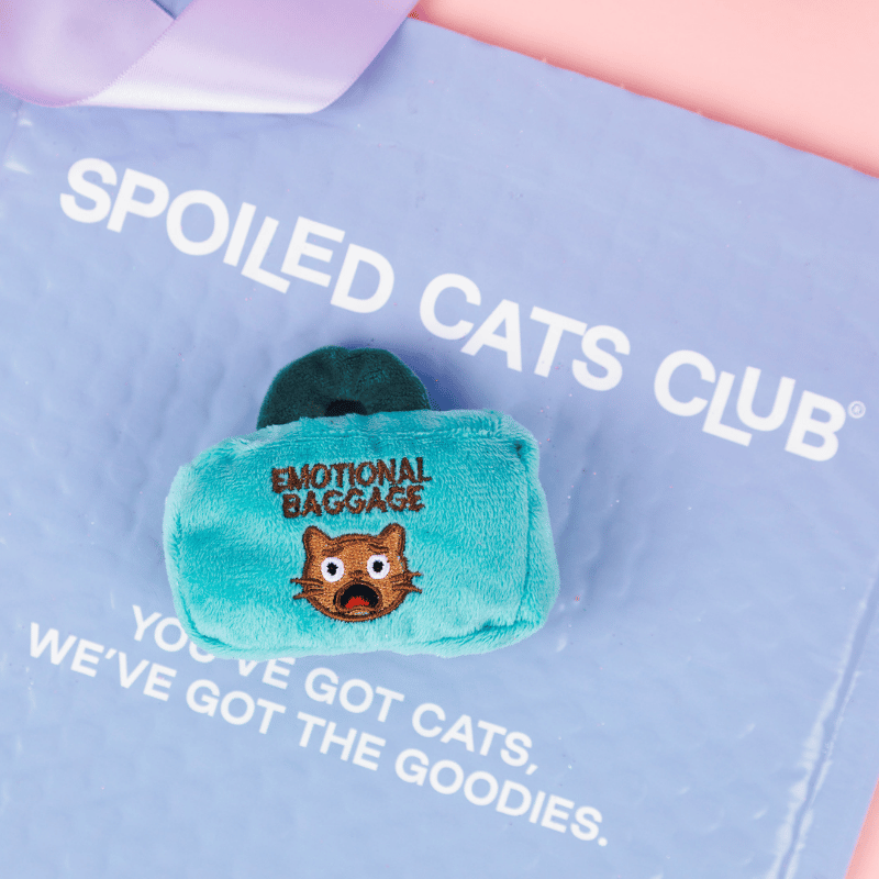 Emotional Baggage Catnip Toy