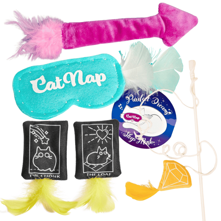 Feather Fanatics Cat Toy Bundle