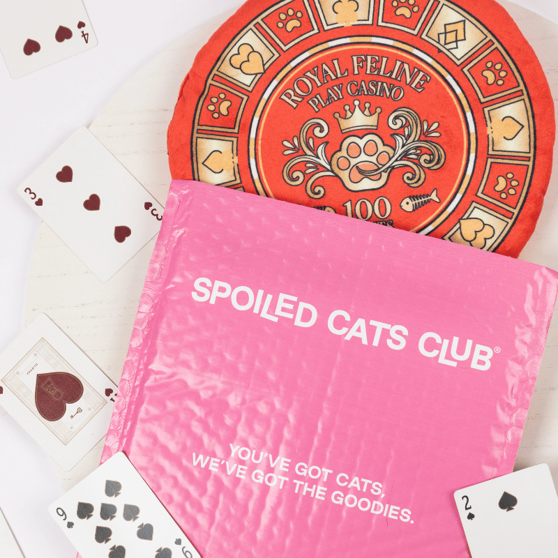 Feline Lucky Cat Mat