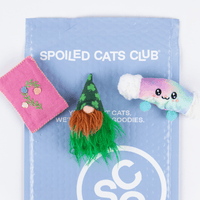 Spoiled Cats Club - 6 Months