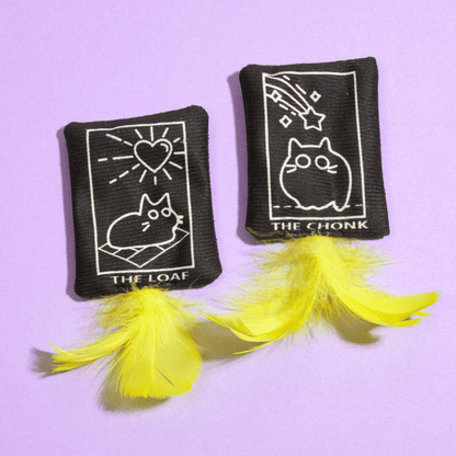 Flinging Fortunes Catnip Toy