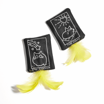 Flinging Fortunes Catnip Toy