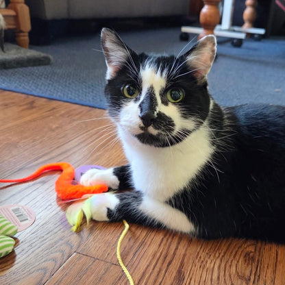 Freddy the Firefly Wand Toy