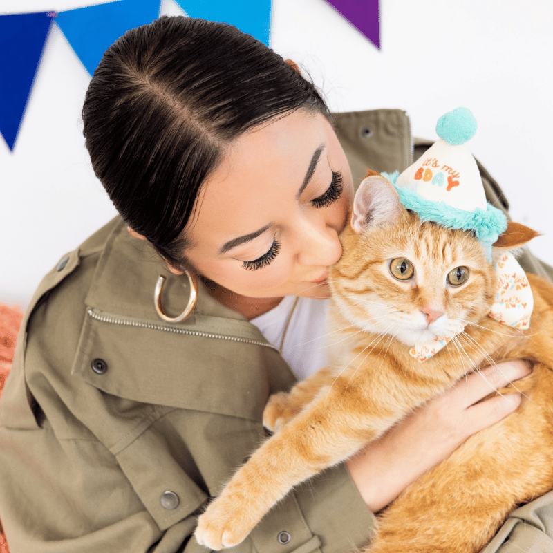 Happy Purrday Cat Hat and Bowtie Set