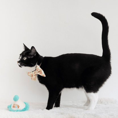 Happy Purrday Cat Hat and Bowtie Set