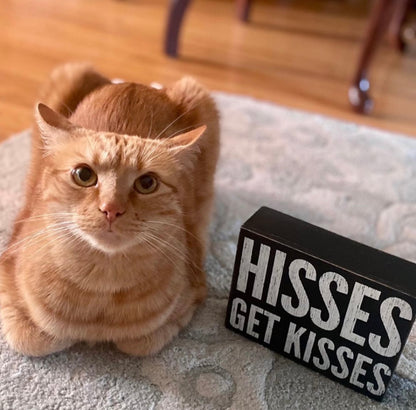 Hisses Get Kisses Box Sign