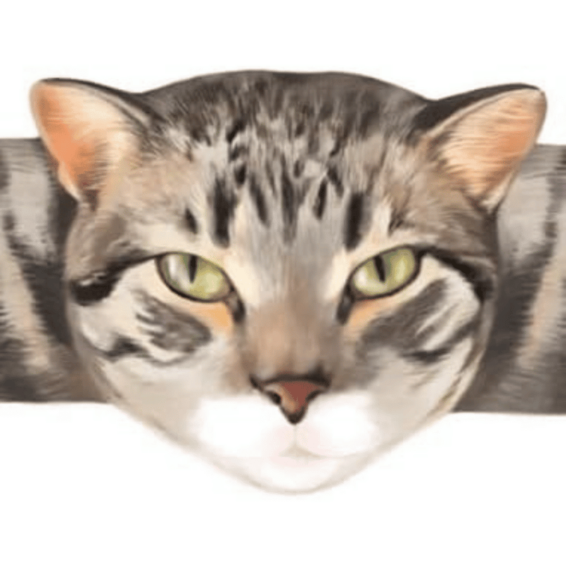 Hugging Paws Cat Bandages