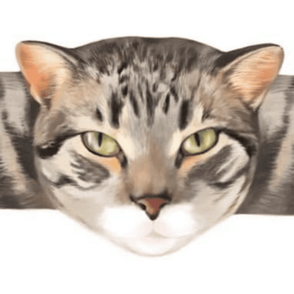 Hugging Paws Cat Bandages