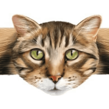 Hugging Paws Cat Bandages