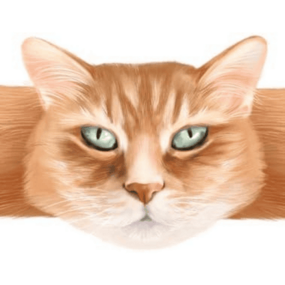 Hugging Paws Cat Bandages