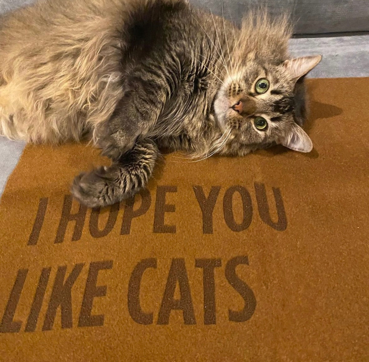 I Hope You Like Cats Doormat