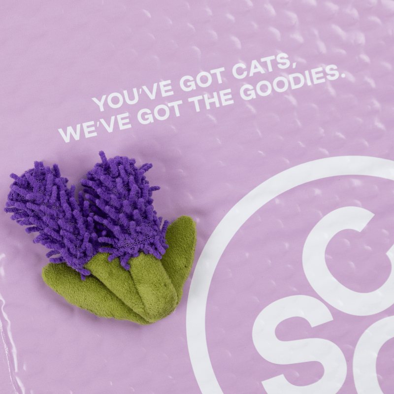 Lavendpurr Sprig Catnip Toy