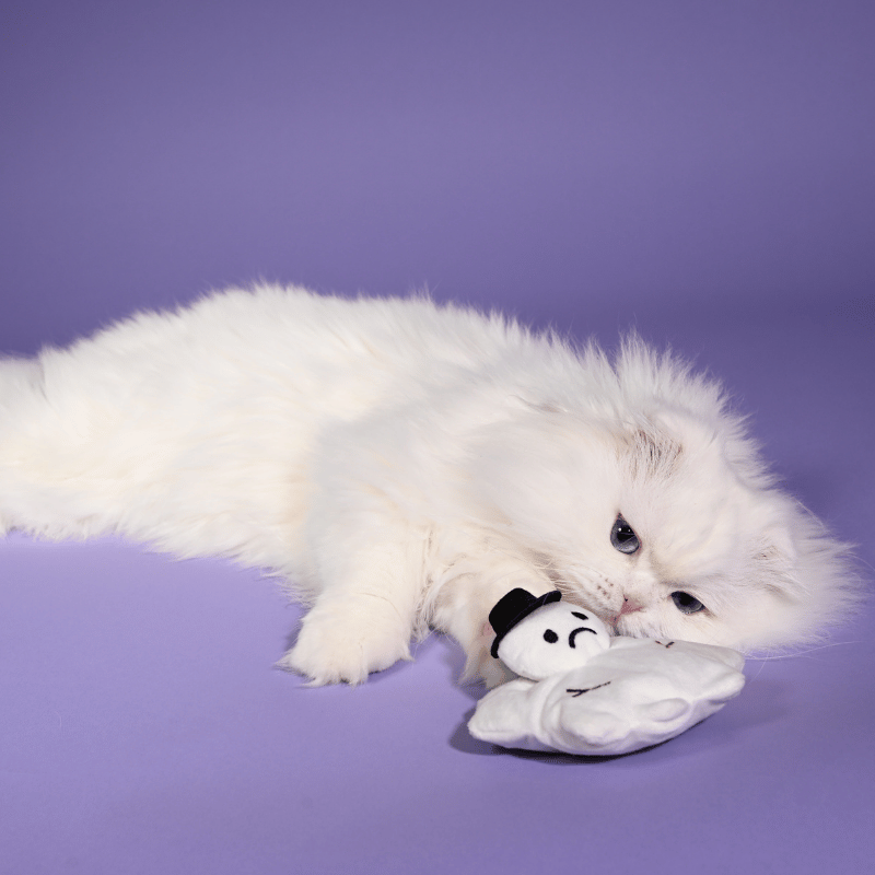 Melty Marvin Snowman Catnip Toy
