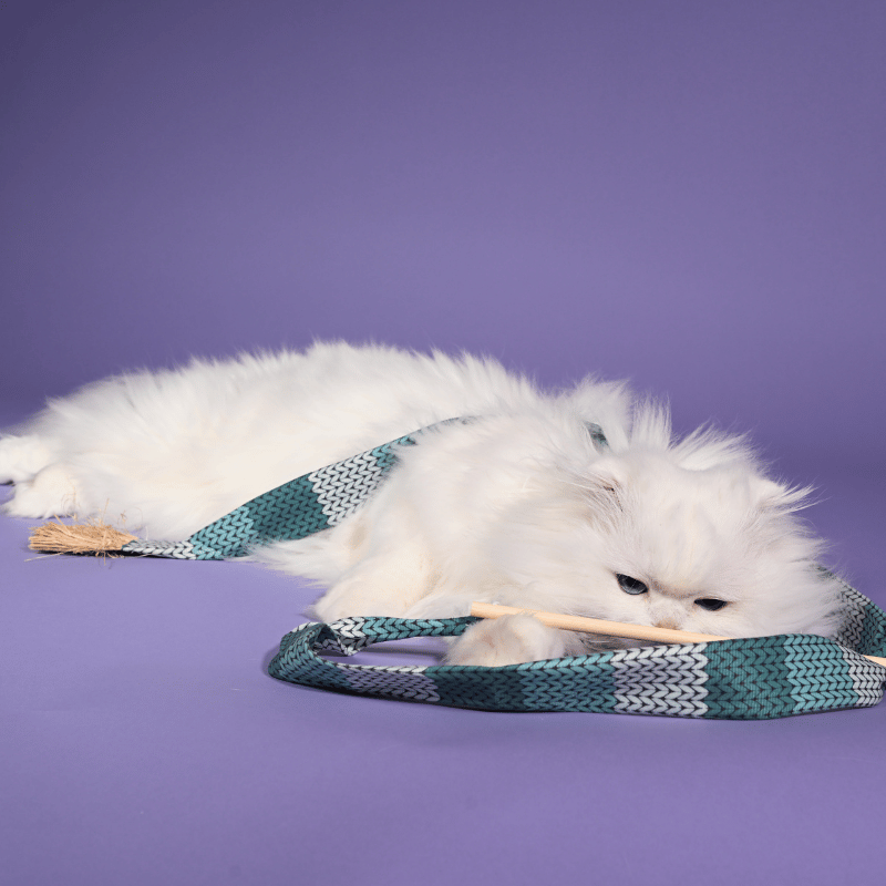 Meowy Muffler Wand Toy