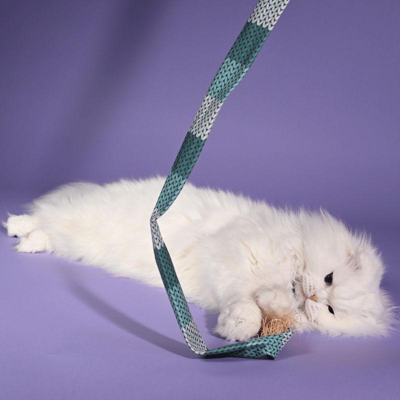 Meowy Muffler Wand Toy