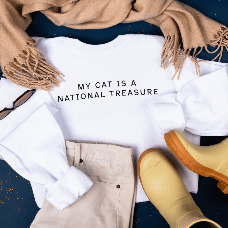 My Cat Is A National Treasure Sweatshirt