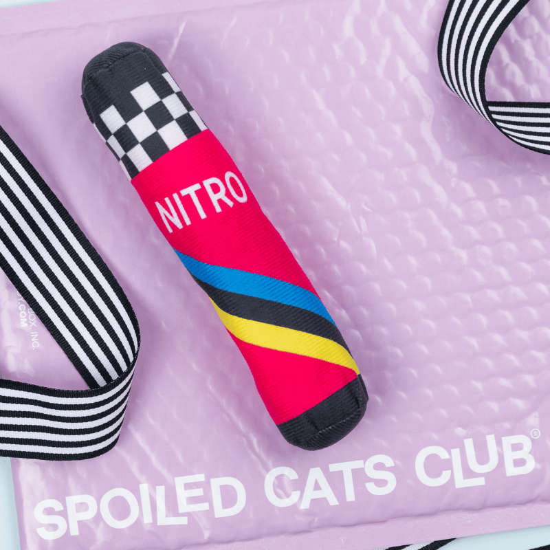 Nitro Nip Kicker Toy