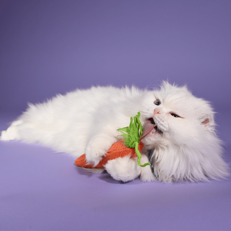Nosey Carrot Kicker Catnip Toy