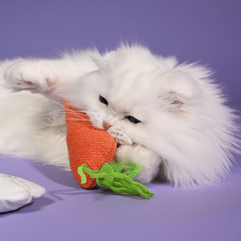 Nosey Carrot Kicker Catnip Toy