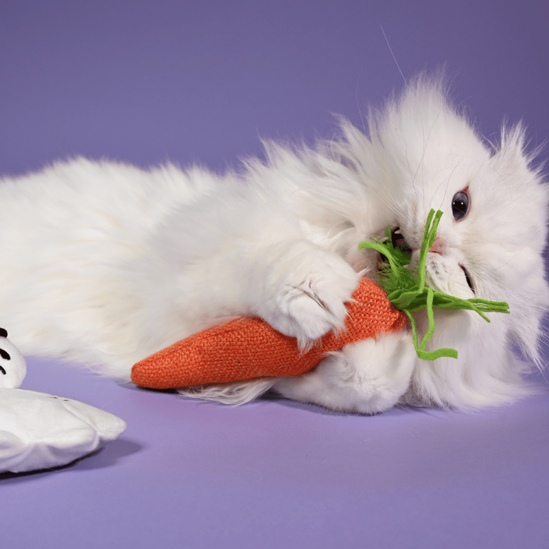 Nosey Carrot Kicker Catnip Toy