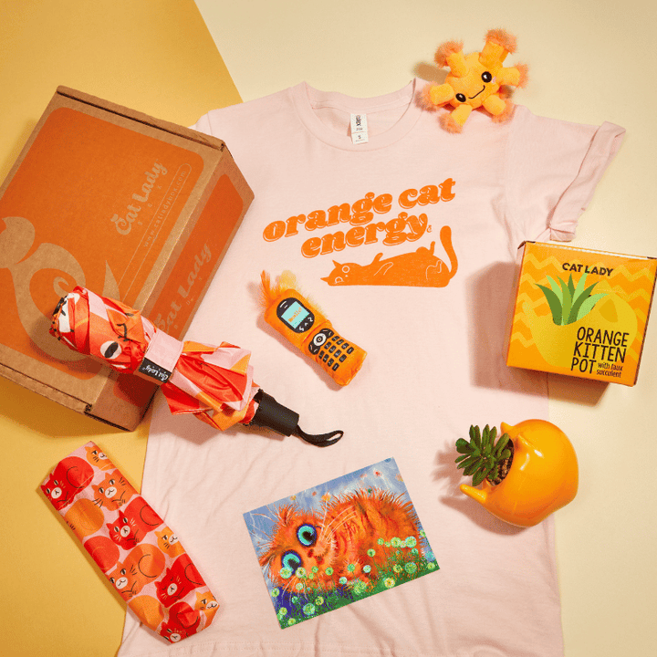 Single Past Box: Orange Cats Box