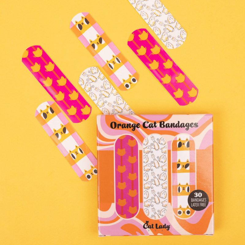 Single Past Box: Orange Cats Box 2024