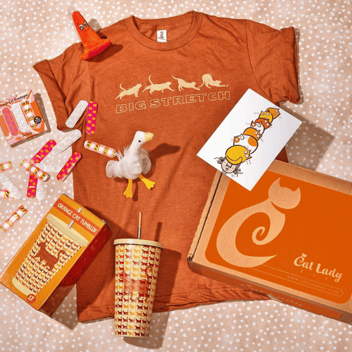 Single Past Box: Orange Cats Box 2024