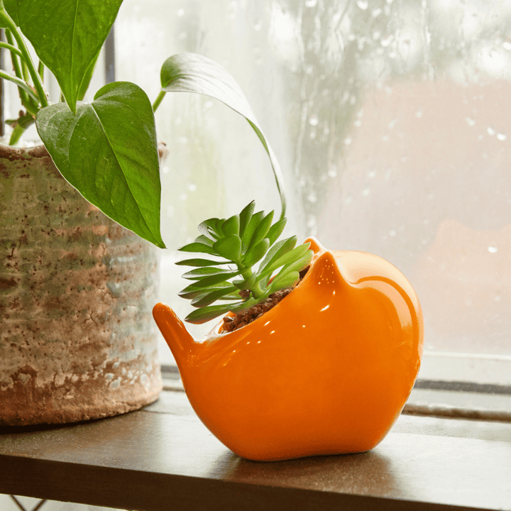 orange plant pots indoor Orange Kitten Pot – Cat Lady
