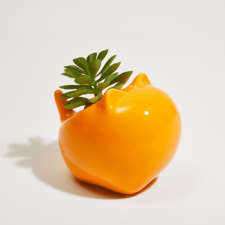 Orange Kitten Succulent Pot