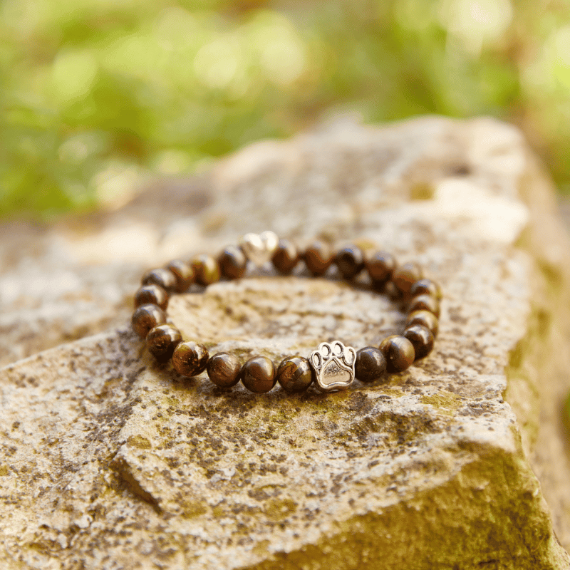 Pawfect Harmony Bracelet