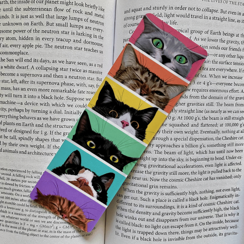 Add-On: Peeking Rainbow Cats Pocket Notebook & Bookmark