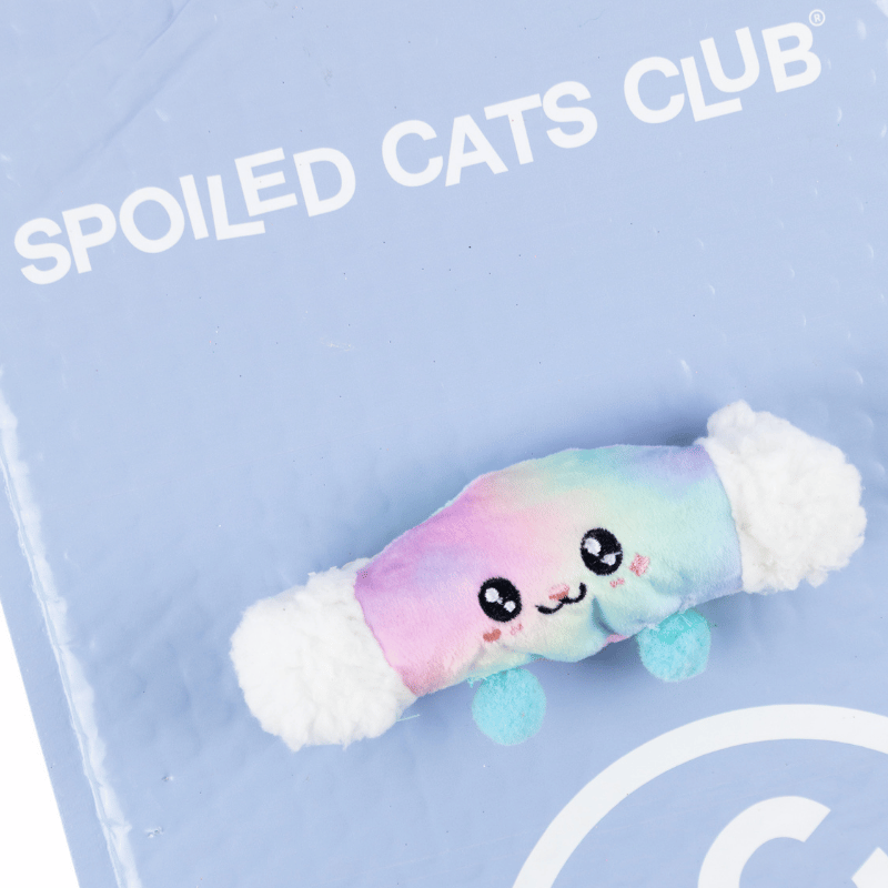 Rainbow Rollie Catnip Toy