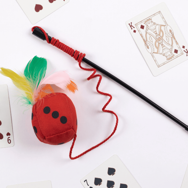 Rollin’ Dice Wand Toy
