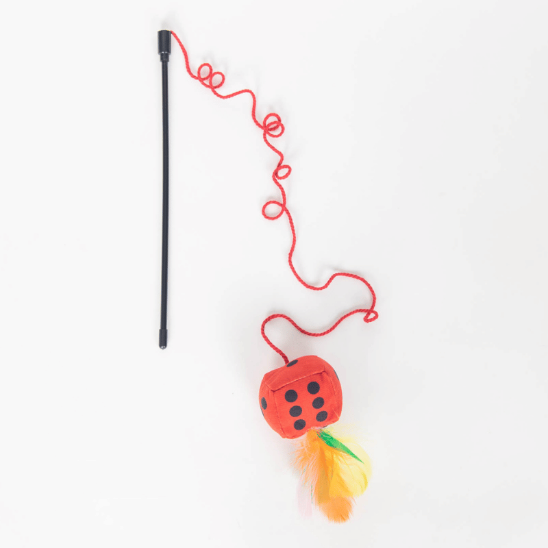 Rollin’ Dice Wand Toy