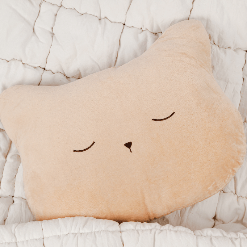 Soft Kitty Throw Pillow