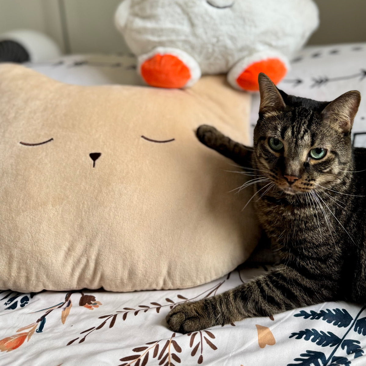 Soft Kitty Throw Pillow