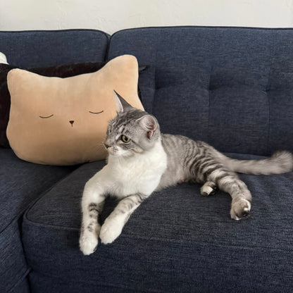Soft Kitty Throw Pillow