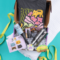 Cat Lady Box - 6 Months