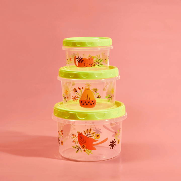 Spring Kitty Food Container Set