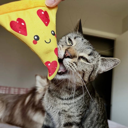 The Last Slice Catnip Toy