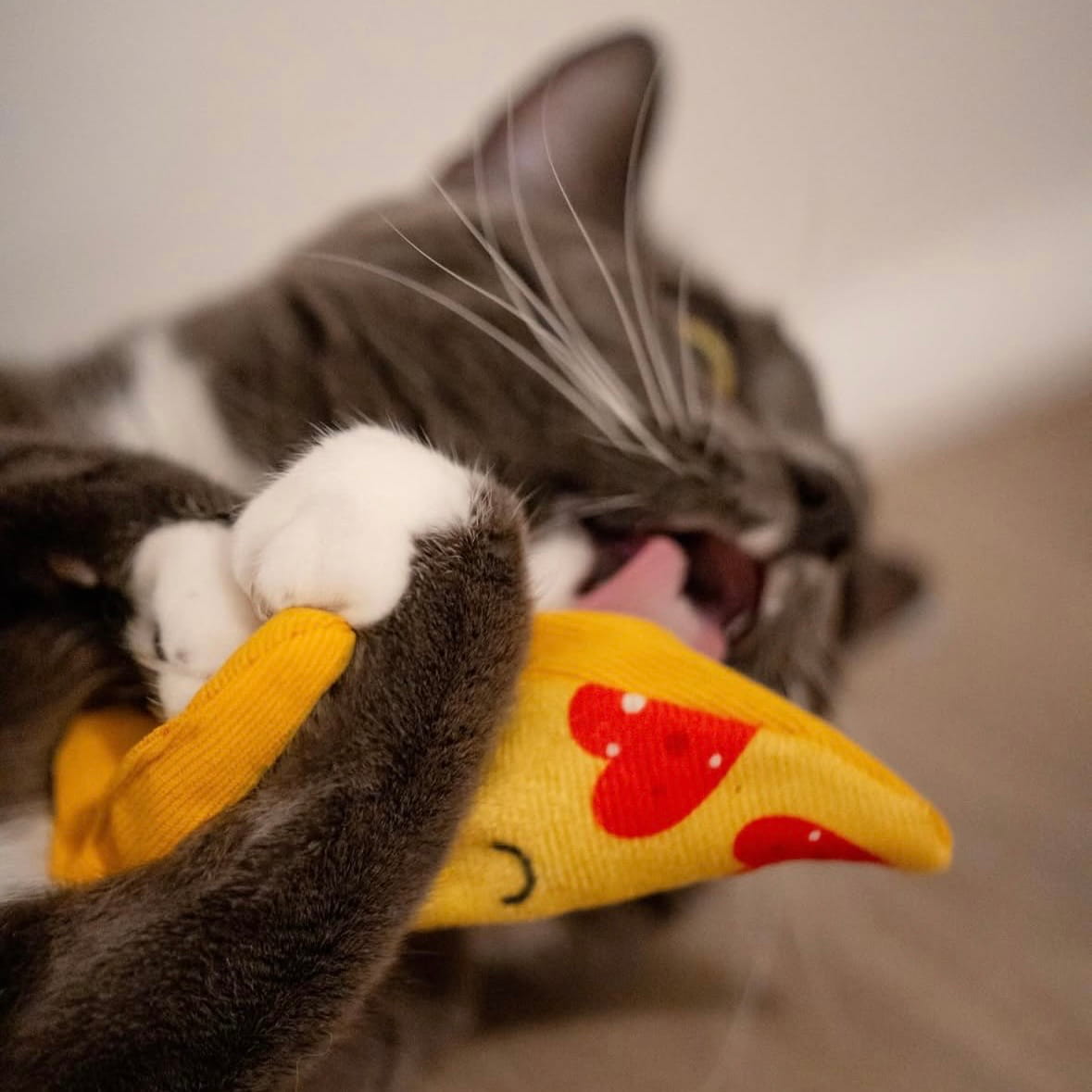 The Last Slice Catnip Toy