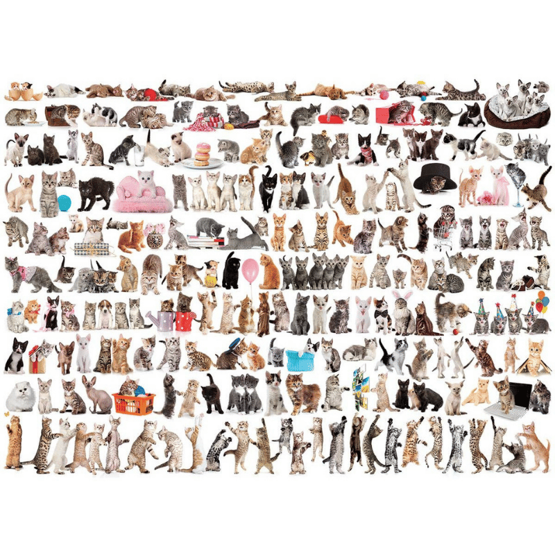 The World of Cats Puzzle