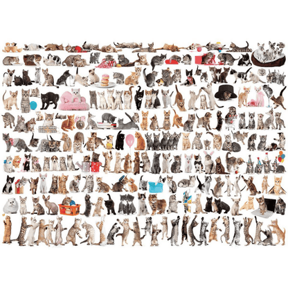 The World of Cats Puzzle
