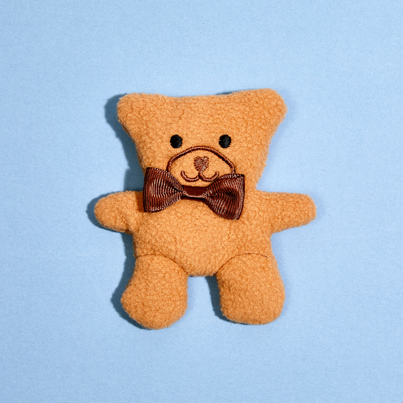 Thomas the Teddy Catnip Toy – Cat Lady