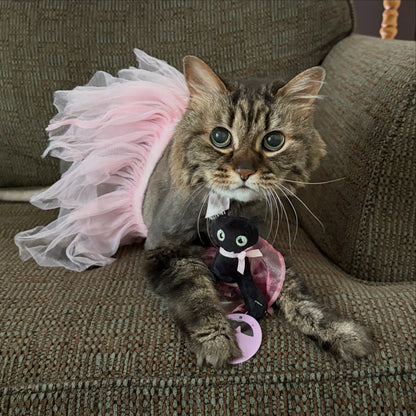 Tutu Cute Ballerina Catnip Toy