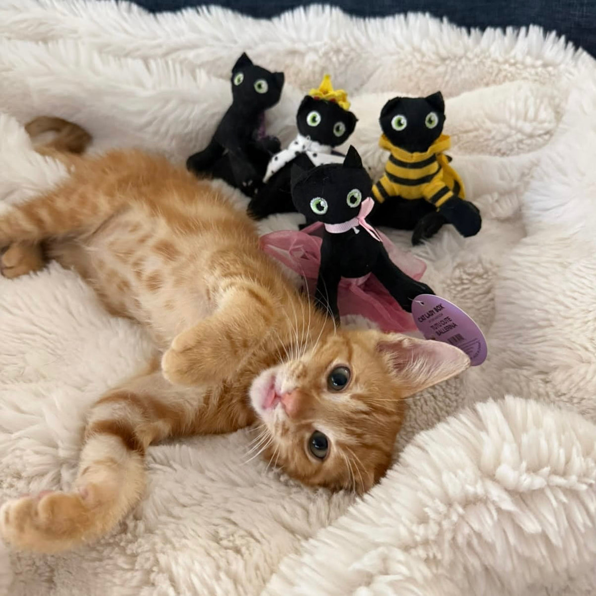 Tutu Cute Ballerina Catnip Toy