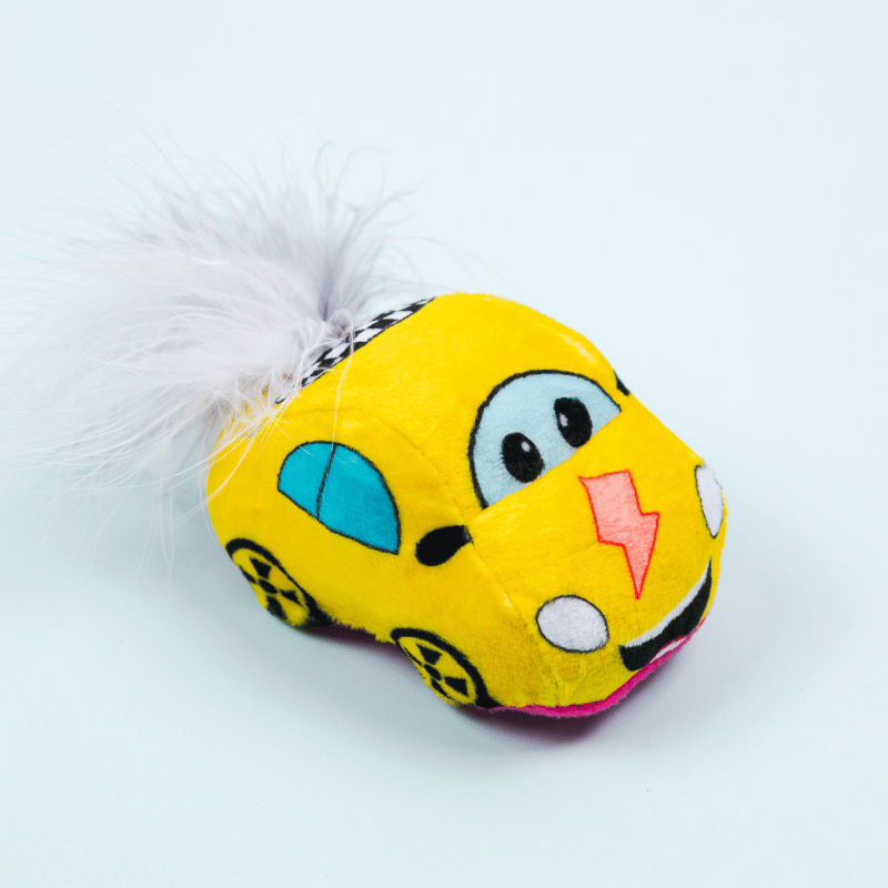 Vroom Vroom Race Car