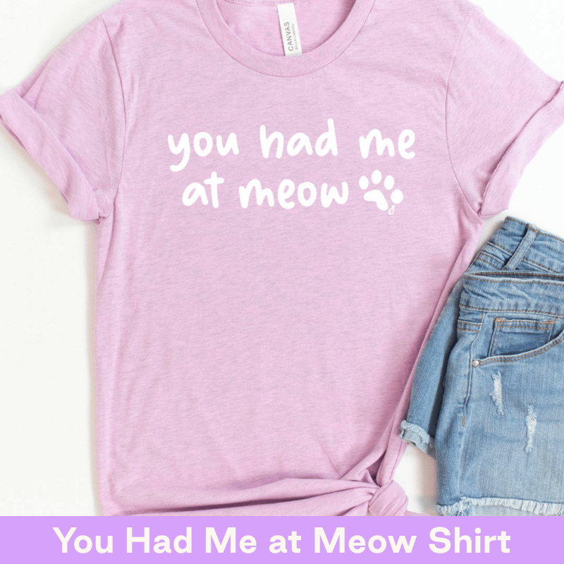 Size 3XL Sale Shirts