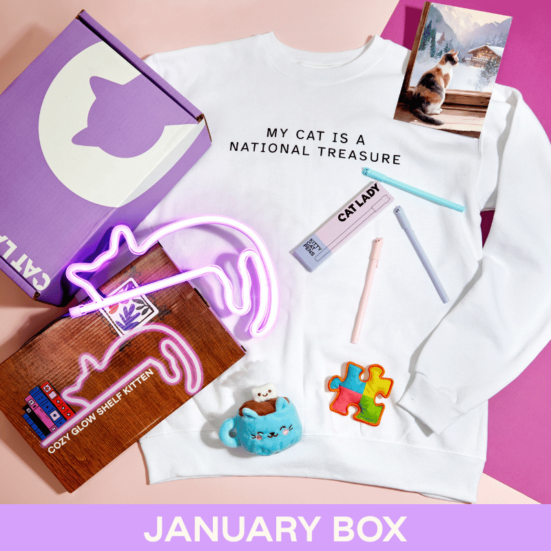Cat Lady Box - Monthly